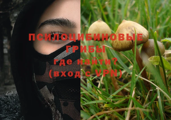 мяу мяу мука Алзамай