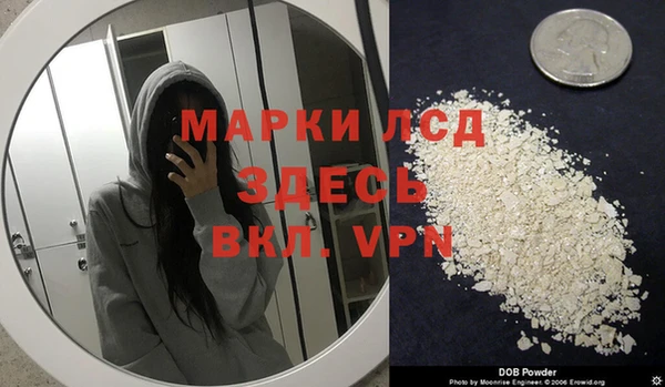 мяу мяу мука Алзамай