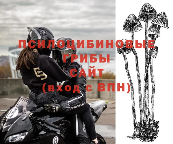 крисы Алексеевка