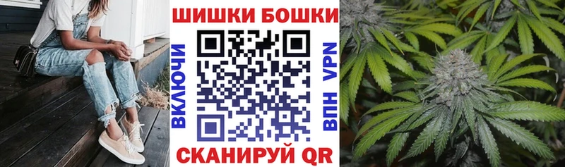 Бошки Шишки план Арамиль